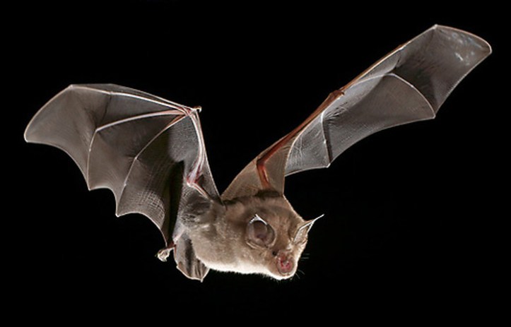 F905F7F6-D81E-449C-B6D8-09C51BB2A912